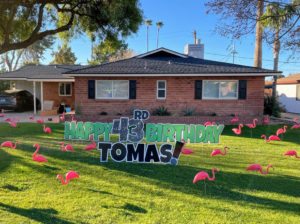 Flamingos+Letters