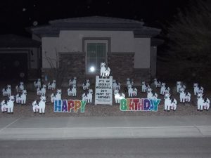 Cows-Rainbow-Sparkle-Happy-Birthday