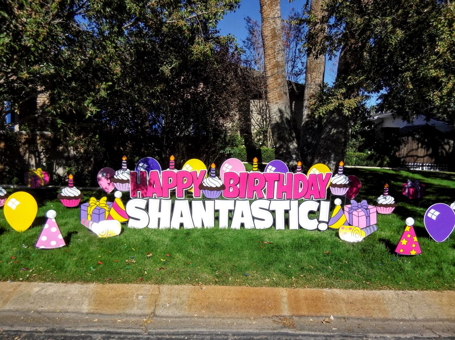 Birthday Yard Signs and Baby Lawn Announcements in AZ by Phoenix Storks.