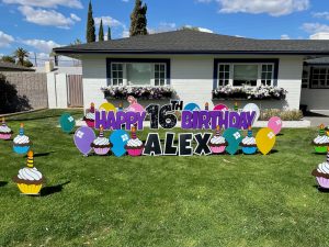 16th birthday Alex